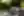 Car To Car