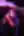 Live In Concert