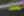 Motorsport