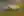 Motorsport