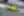 Motorsport