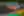 Motorsport
