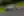 Motorsport