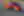 Motorsport